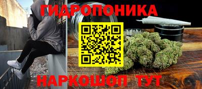 мяу мяу мука Аша