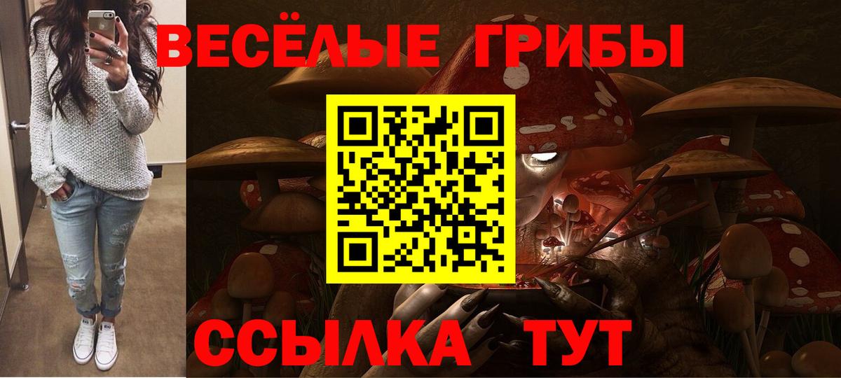 Псилоцибиновые грибы прущие грибы  наркота  Краснознаменск  Вход с VPN 