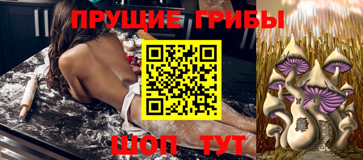 Псилоцибиновые грибы мухоморы Краснознаменск